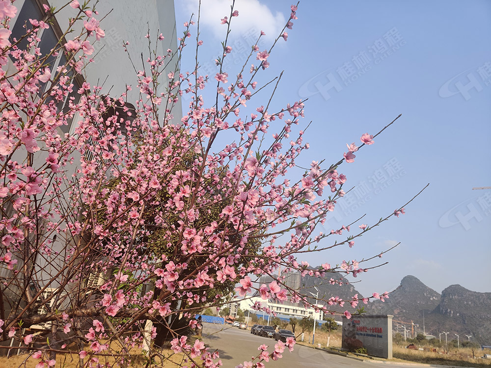 桂林鴻程花團(tuán)錦簇，滿園春色，邀您一起共賞春景，共商大計(jì)！